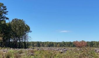 Ahoskie Cofield Road, Ahoskie, NC 27910