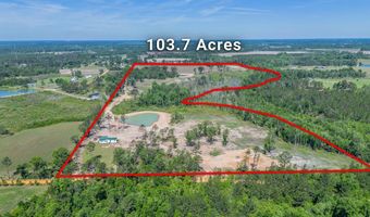 Chad Lake Rd, Alma, GA 31510