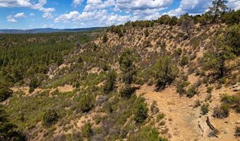 937 Hillcrest Rd, Bayfield, CO 81122