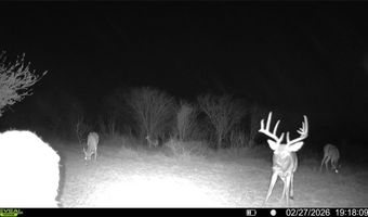 CR 119 lot 0, Alice, TX 78332