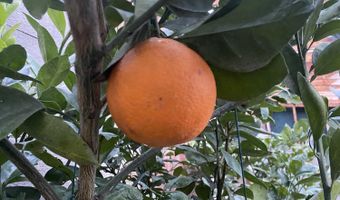 79 AUBURN FOREST Rd, Afton, WY 83110