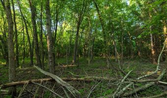 60 E Church St, Aurora, MO 65605