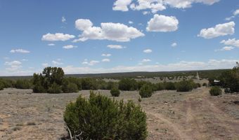 N8190, Concho, AZ 85924