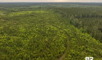 Flowers Road, Bay Minette, AL 36507