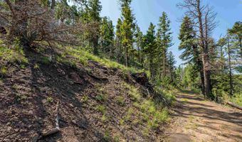 Vail Loop lot 400, Angel Fire, NM 87710
