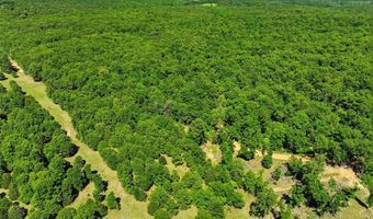 210 County Road 320, Alton, MO 65606