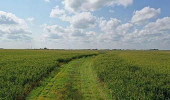 Marsh Avenue, Allison, IA 50602