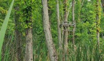 65 Acres 107th Ave, Allegan, MI 49010