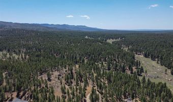 386 Wieland Dr, Bayfield, CO 81122