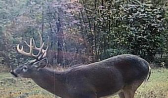 001 Farr Rd, Bolton, MS 39041