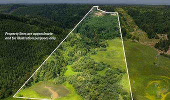 54431 Morrison Rd, Bandon, OR 97411