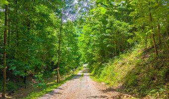 1044 Shell Stand Rd, Almond, NC 28702