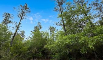 Broadview Avenue, Alford, FL 32420