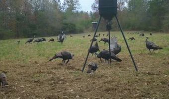 0 Hwy 14, Aliceville, AL 35442