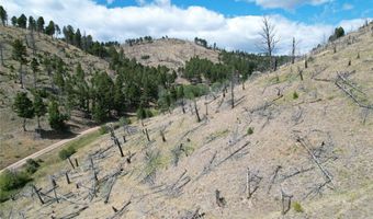 Nhn Plaindealer Lode Depot Hill Road, Boulder, MT 59632