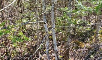 40 AC Werth Rd, Alpena, MI 49707