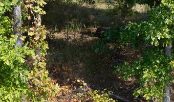 Cr 816, Blue Mountain, MS 38610
