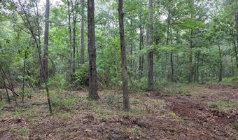 Blume Road lot 9, Alto, TX 75925