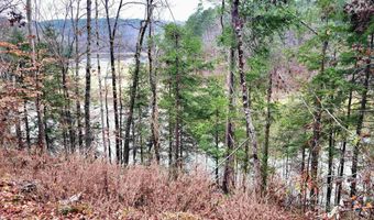 458 COUNTY ROAD 4036 Lot 0, Arley, AL 35541