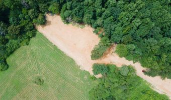 1717 County Road 1579, Baileyton, AL 35019