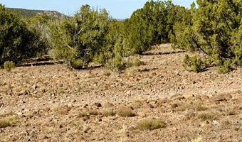 Kirkland DR 20 Acres, Concho, AZ 85924