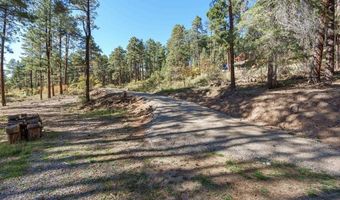 138 Green Ridge Dr, Bayfield, CO 81122