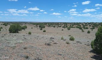 Tbd Ranch of the White Mountains, Concho, AZ 85924