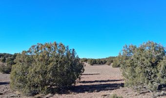 N8715, Concho, AZ 85924