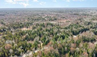 6002 Wildwood, Alger, MI 48610