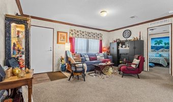 5829 NW 11th Ave, Bell, FL 32619