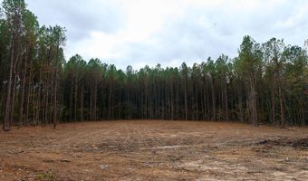 00002 Trickhambridge Rd, Brandon, MS 39042