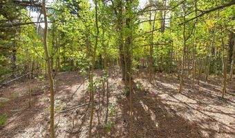 452 QUARTZVILLE Rd, Alma, CO 80420