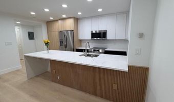 910 W Hallam St 12, Aspen, CO 81611