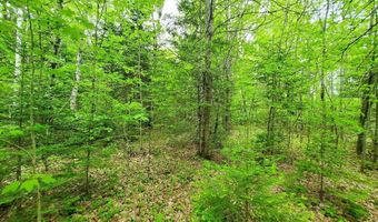 77 S Princeton Rd, Alexander, ME 04694
