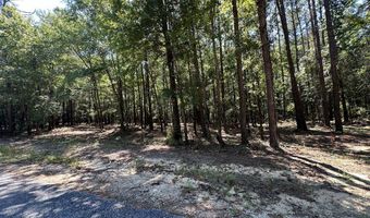 252 Pebble Cove Rd, Abbeville, AL 36310