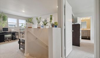 608 Apex Trl, Ault, CO 80610