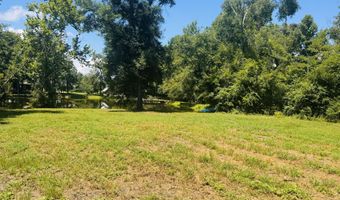 1042 Lake Cadeli Rd, Bartow, GA 30413