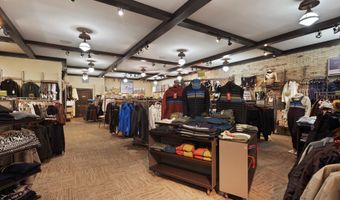 408 E Cooper Ave, Aspen, CO 81611