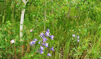 1256 Basking Dog Rd, Bellvue, CO 80512