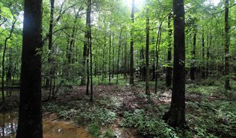 000 AVE 5 SW St, Atkins, AR 72823