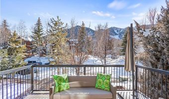 990 E Hopkins Ave, Aspen, CO 81611