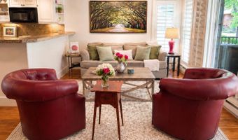 800 E Hopkins Ave A-1, Aspen, CO 81611