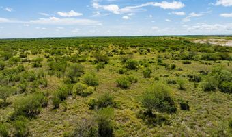 County Road 119, Alice, TX 78332