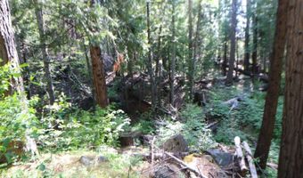 2159 Sierra Pkwy, Arnold, CA 95223