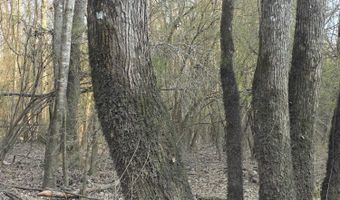 U.S. Highway 51, Bogue Chitto, MS 39629
