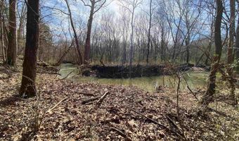 0 HIGHWAY 231 Tract - 27+/- Ac, Ashville, AL 35953