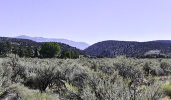 330 Veris Ct 1, Gardnerville, NV 89410