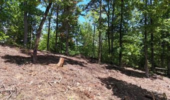 Lot 42 Bayside Boulevard, Bean Station, TN 37708