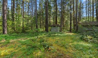 55482 DELTA Rd, Blue River, OR 97413