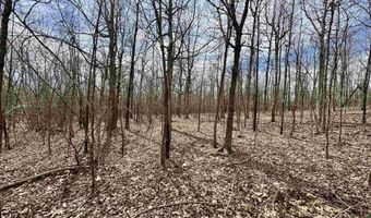 10028 Hwy 66, Alco, AR 72680